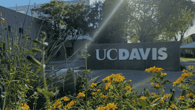 UC Davis-1